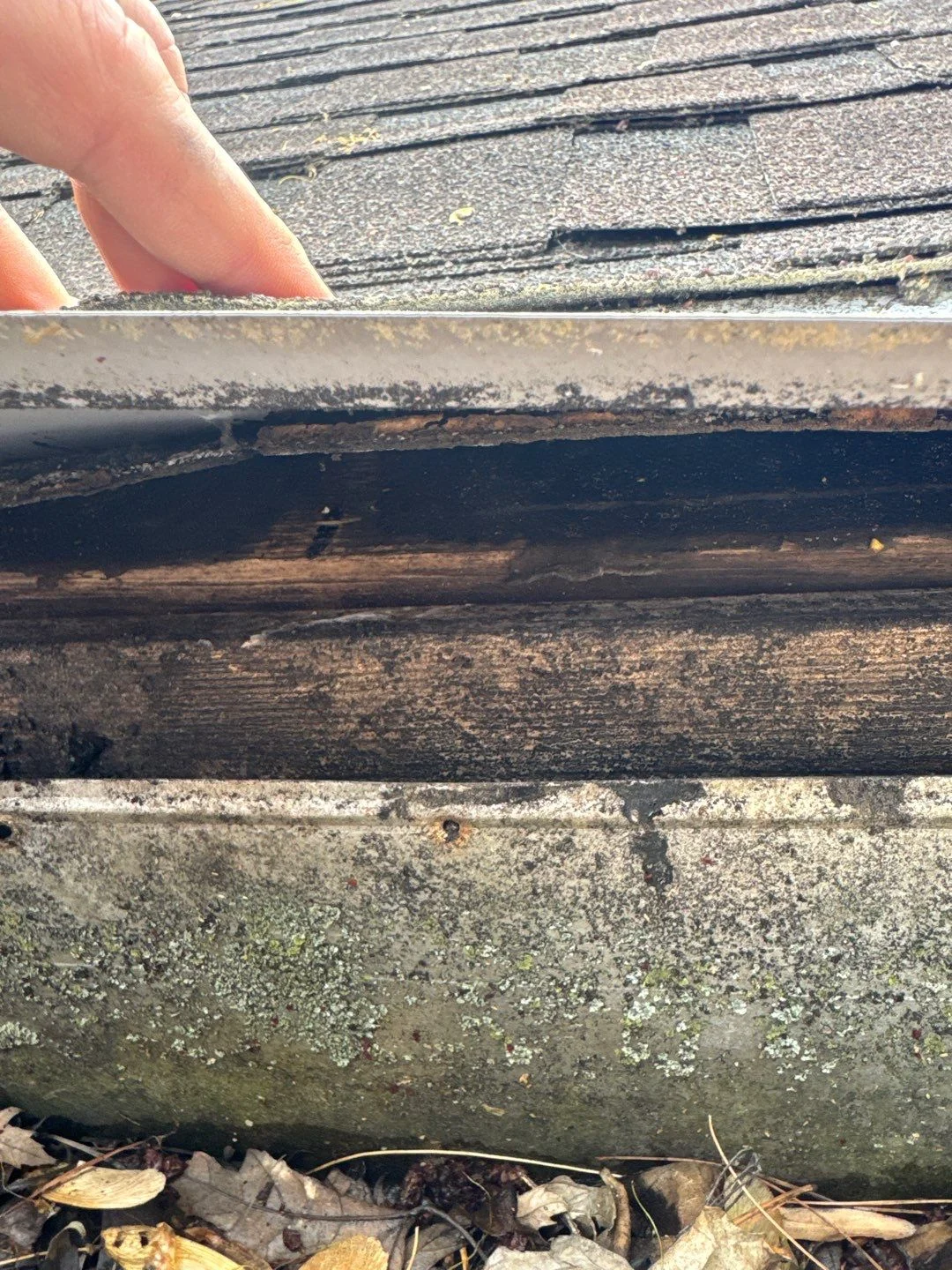 Commercial Leak Detection and Moisture Surveys in Colfax